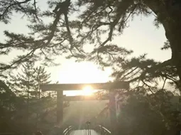 願いが叶う冬至