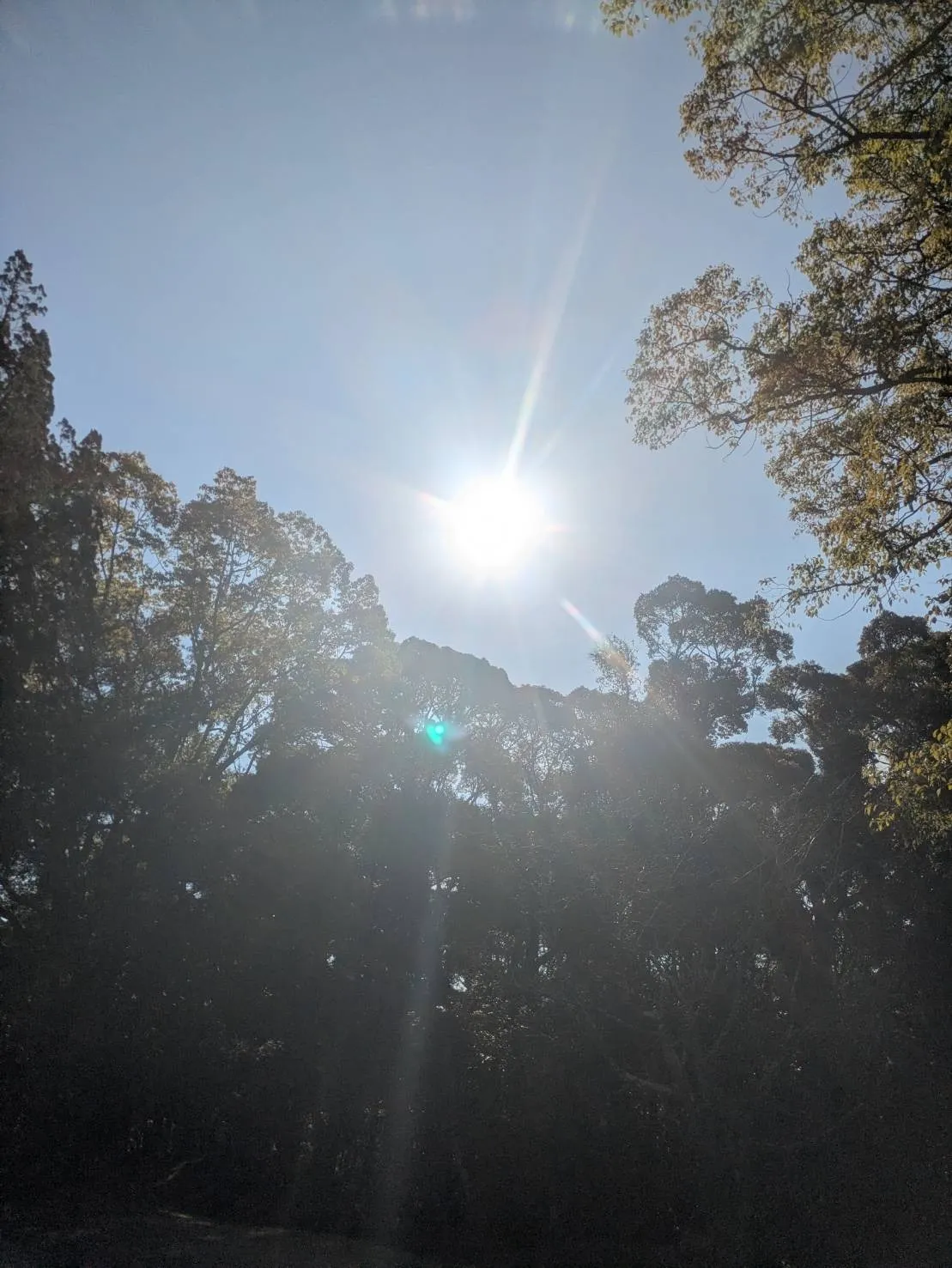 立春 ~新たな一年のはじまりです~